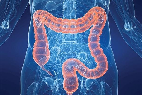 吃完饭胃胀胃顶着难受不消化的原因-肠道疾病