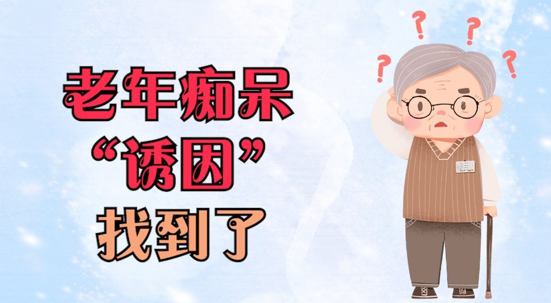 王涛博士官网：防治老年痴呆，营养调理与综合治疗显得尤为重要！