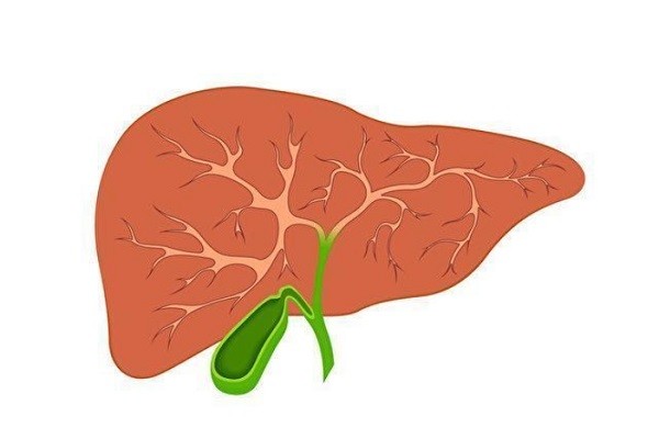 如何保护肝脏并帮助它恢复正常的血糖调控功能呢？王涛博士的营养医学理念为我们提供了答案
